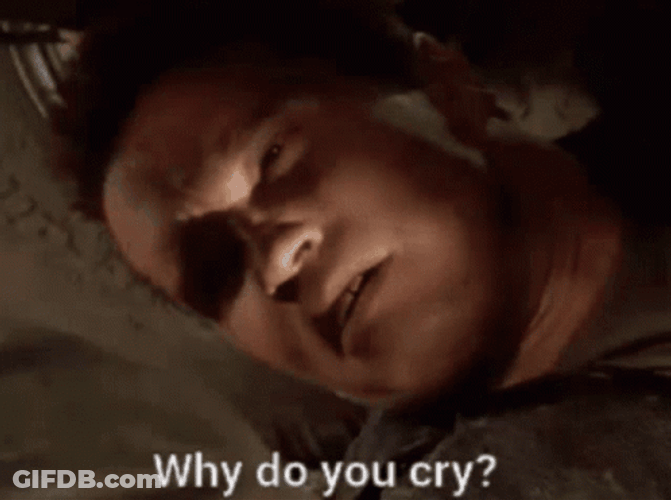 Terminator Why Do You Cry GIF
