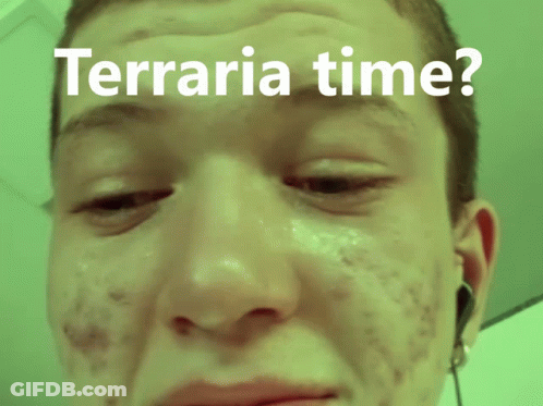 Terraria Time Person Face GIF