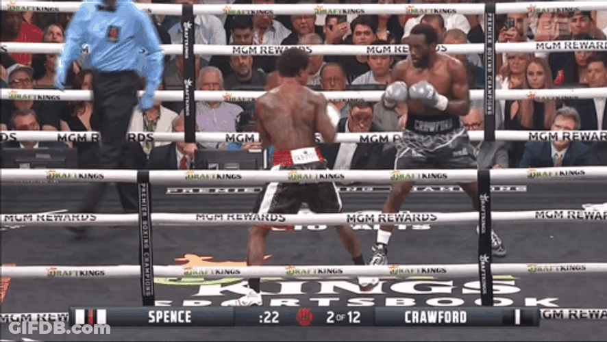 Terrence Bud Crawford Versus Errol Spence Jr. GIF
