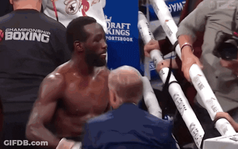 Terrence Bud Crawford Winner GIF