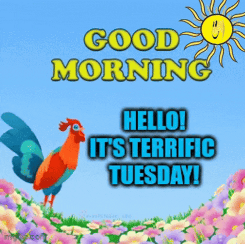 Terrific Tuesday Cartoon Rooster Crowing GIF