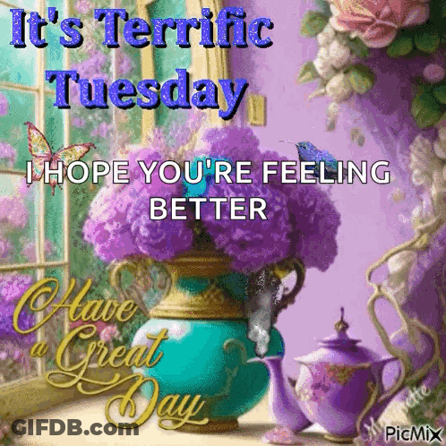 Terrific Tuesday Feeling Better GIF