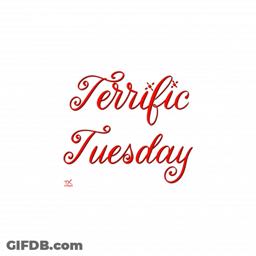 Terrific Tuesday Flashing Minimalist Graphics Design GIF