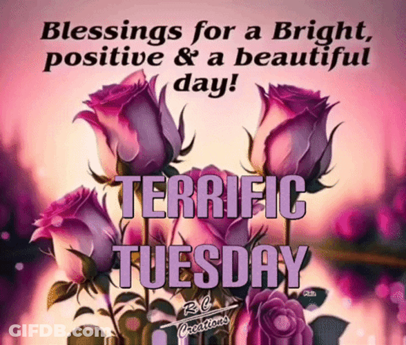 Terrific Tuesday Quotes GIF
