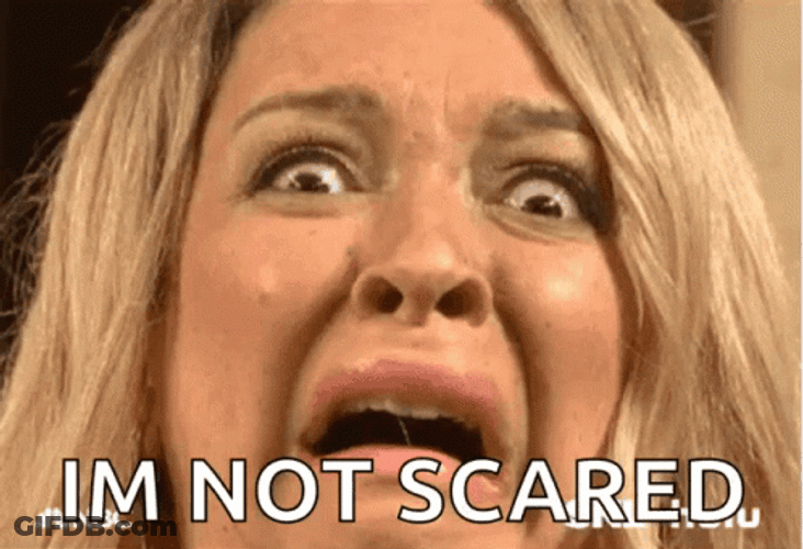 Terrified GIF
