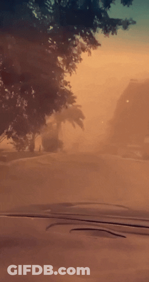 Terrifying Driving Thru Dust Storm GIF