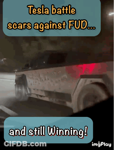 Tesla Battle Scars Against Fud GIF