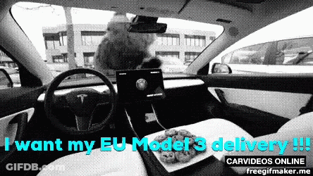 Tesla I Want My EU Model 3 Delivery GIF