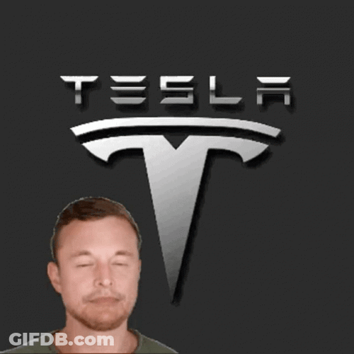 Tesla Logo Elon Musk Hand On Beard GIF