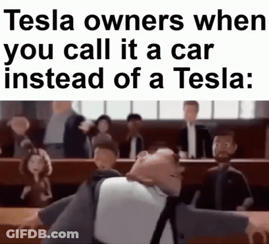 Tesla Owners When You Call It Car GIF