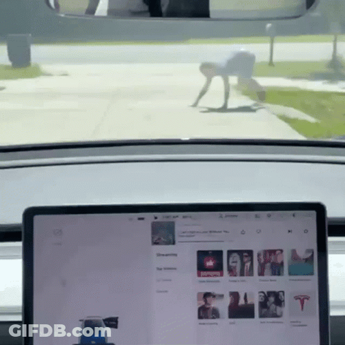 Tesla Vision Guy Crawling GIF