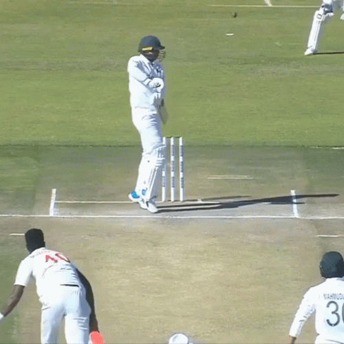 Test Crickets Meme GIF