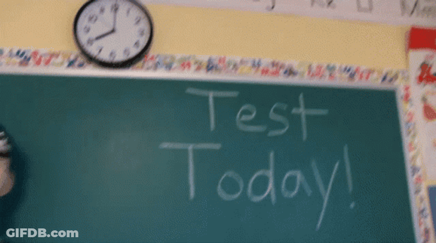 Test Day Asian Funny Puppet GIF