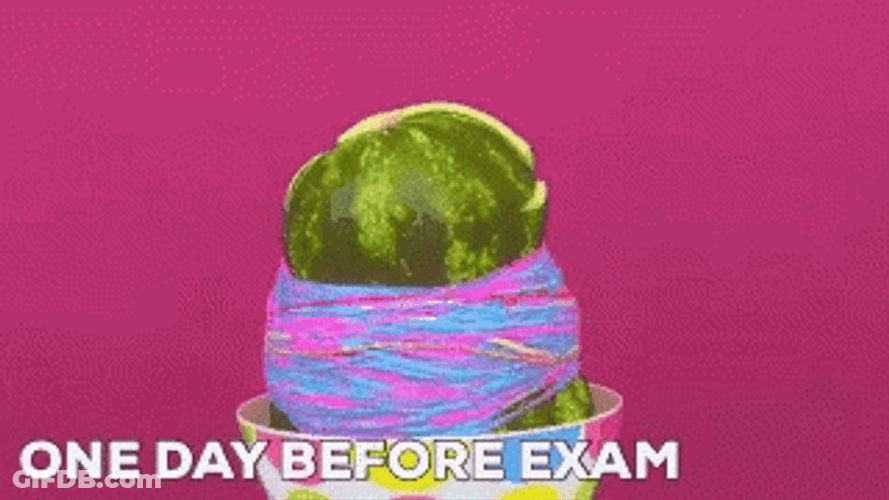 Test Day Exploding Watermelon GIF