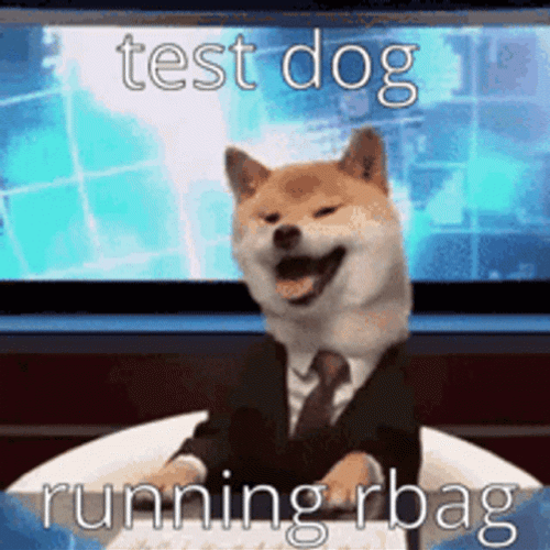 Test Dog Running Rbag GIF