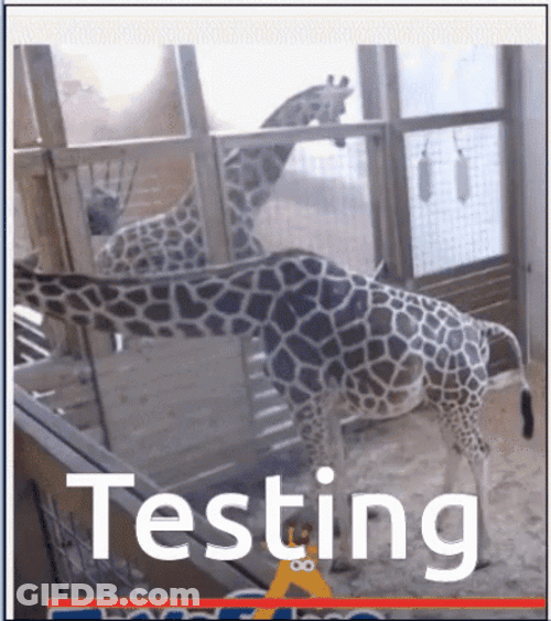 Testing Giraffes Zoo Animal GIF