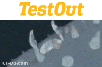 Testout Logo With Bug GIF