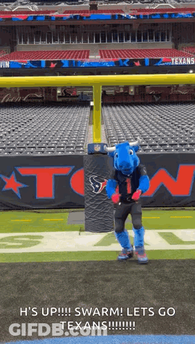 Texans Mascot Standing On Field GIF