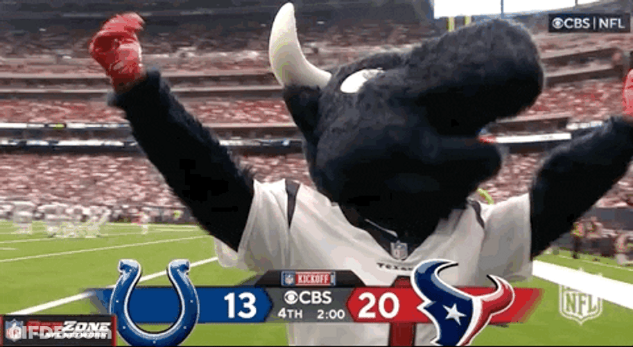 Texans Nodding Mascot GIF