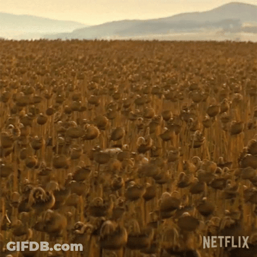 Texas Chainsaw Hide And Seek Creepy GIF