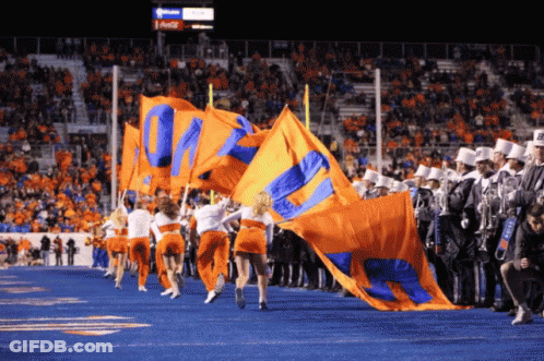 Texas Flag Don't Mess With Texas GIF