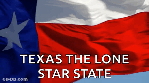 Texas Flag Lone Star State GIF