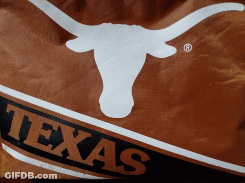 Texas Flag With Bull Silhouette GIF