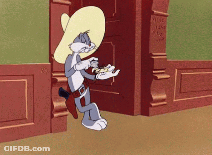 Texas GIF