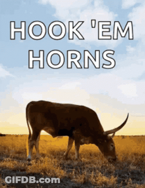Texas Longhorn With Hook Em Word Above GIF