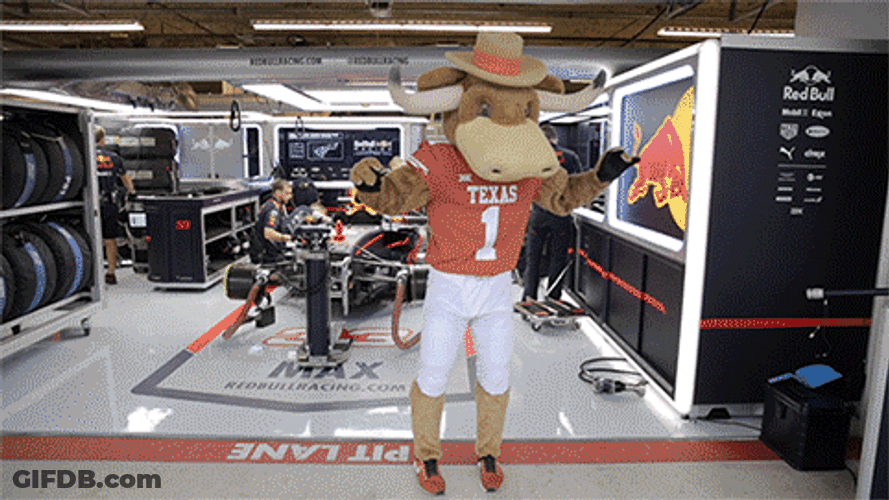 Texas Mascot Longhorns Dancing Back Stage GIF