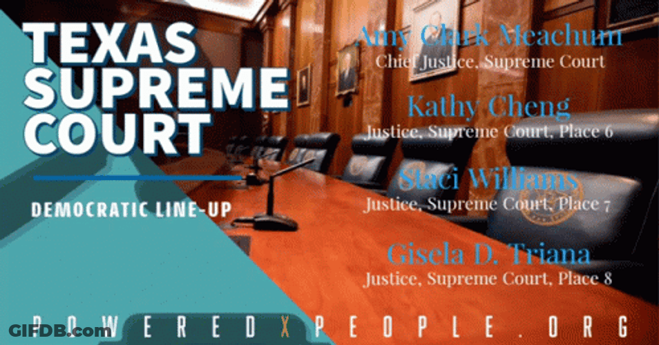 Texas Supreme Court GIF