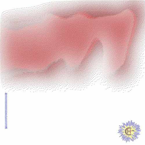 Text Transition Hello Monday GIF