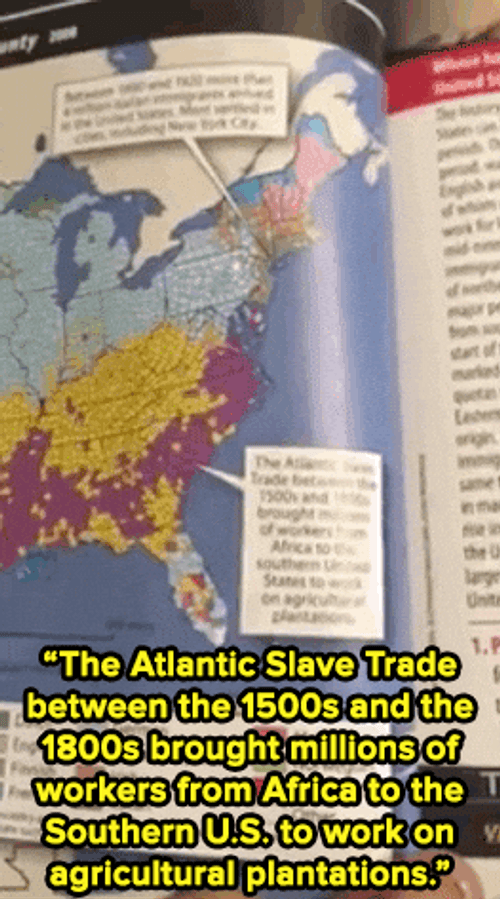 Textbook About Slavery GIF