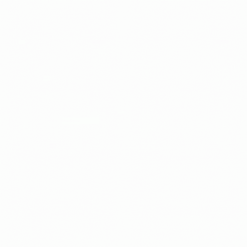 Tg SEO Animation GIF