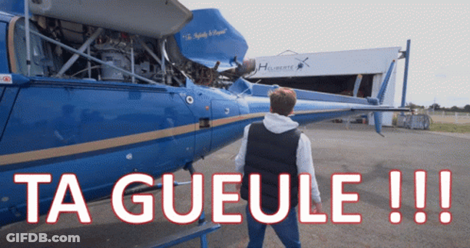 Tg Sylvain Vilebrequin Beside Plane GIF