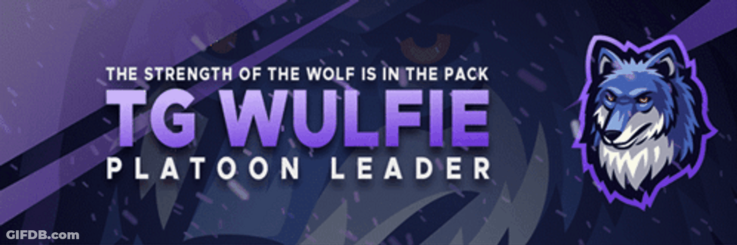 Tg Wulfie Platoon Leader GIF