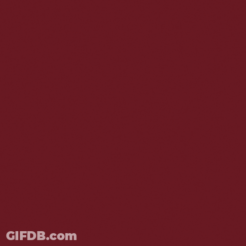 Tgra Beer Can And Food Bowl GIF