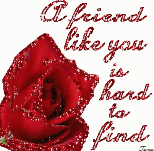 Thank You A Friend Like You GIF