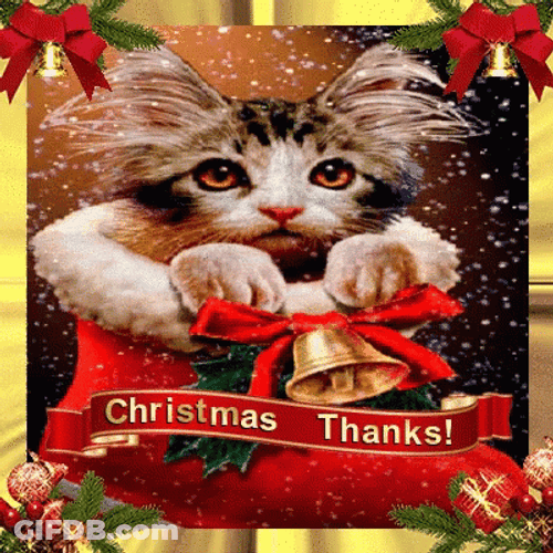 Thank You And Merry Christmas Cute Kitten GIF