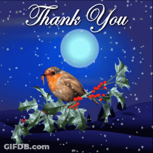 Thank You And Merry Christmas Night Sticker GIF