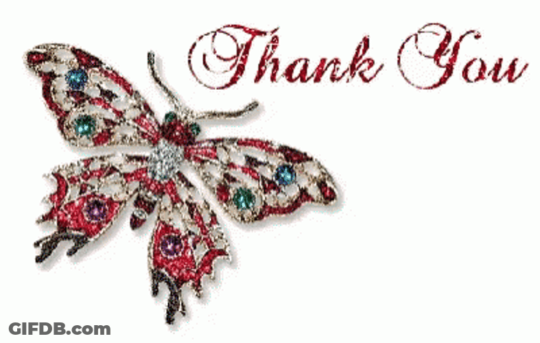 Thank You Animated Butterfly GIF