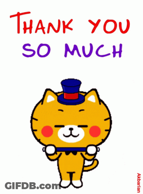 Thank You Animated Magic Show Cat GIF