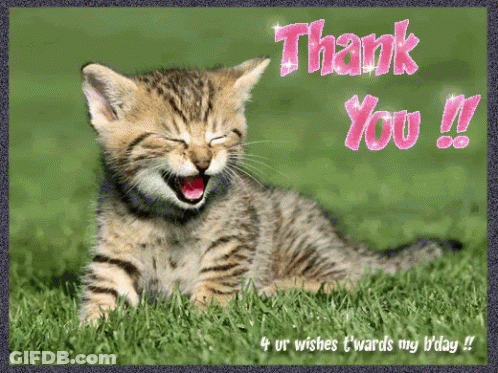 Thank You Card With Laughing Kitten GIF