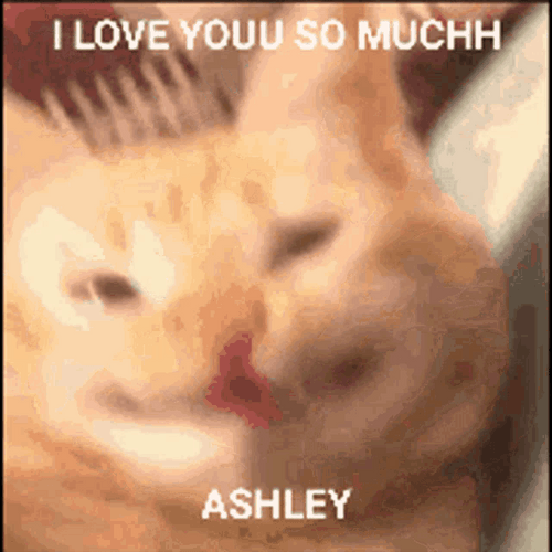 Thank You Cat Ashley Ginger GIF
