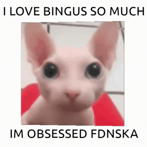 Thank You Cat Bingsu Love You GIF