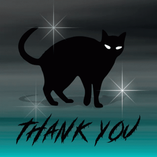 Thank You Cat Killer Greeting GIF