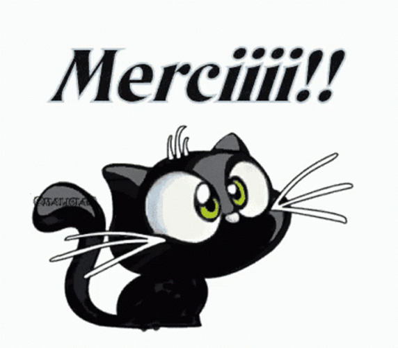 Thank You Cat Merci Meow GIF