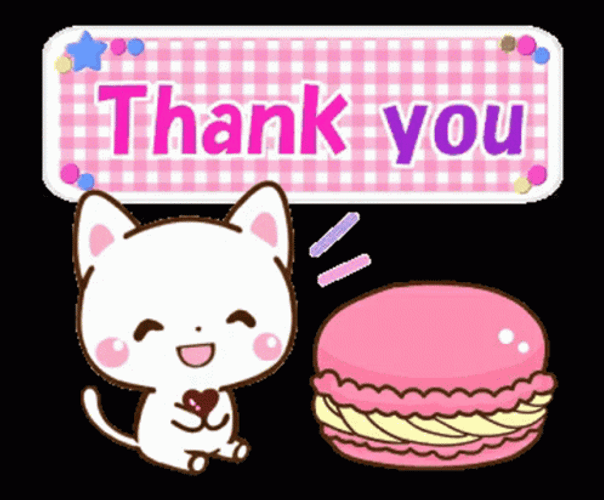 Thank You Cat Pink Macaroon GIF
