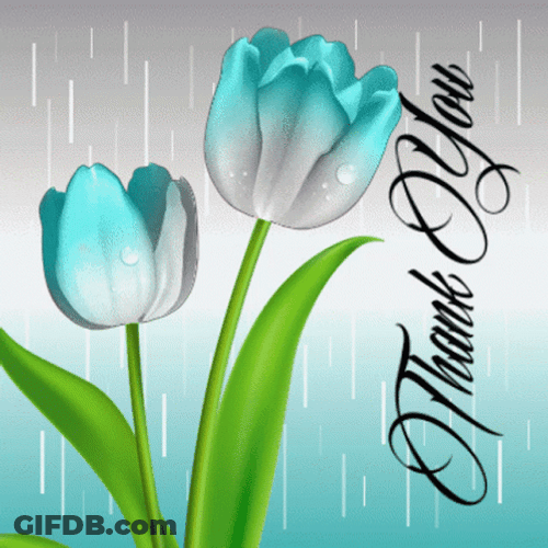 Thank You Clipart  Blue Flower GIF