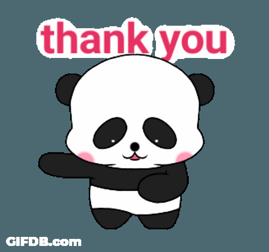 Thank You Cute Cartoon Panda Bear GIF